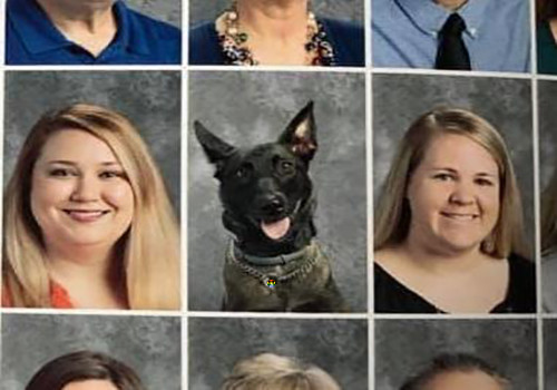 HD Cão polícia entra na foto de livro de escola.