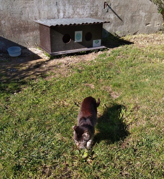 326208109_1239029926691715_8810463860421919859_n.j