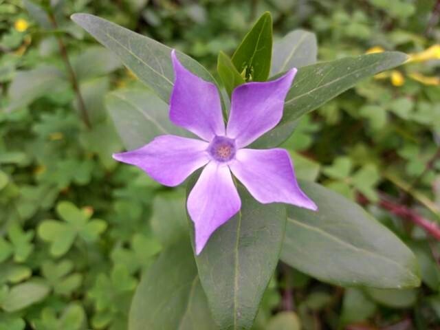 331933078_741717374019743_5271794200250962893_n.jp