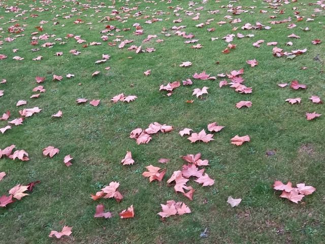 258755994_902449780657929_2141376584411265449_n.jp