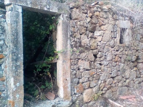 37670584_1738130962968868_2923932182277783552_n.jp