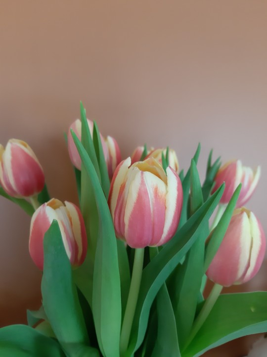 20190506_123456.jpg
