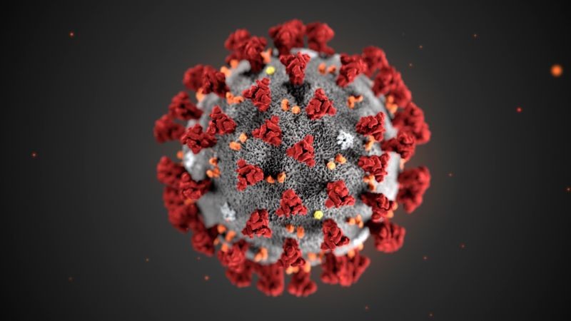 coronavirus-2.jpg coronavirus-2.jpg