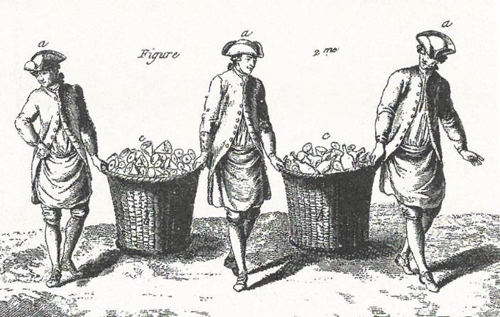 vidro 6.JPG vidro 6.JPG