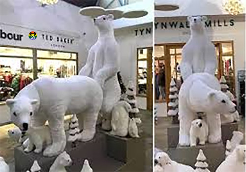 HD Um urso a pular no outro....jpg