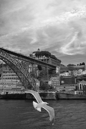 Porto2018_11_500.jpg Porto2018_11_500.jpg
