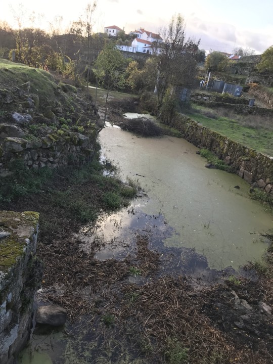 A ribeira de hoe2.jpg