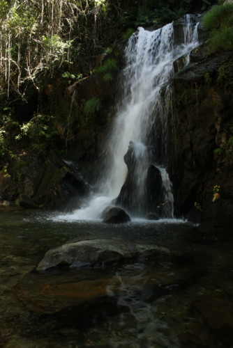 IMG_7800.JPG