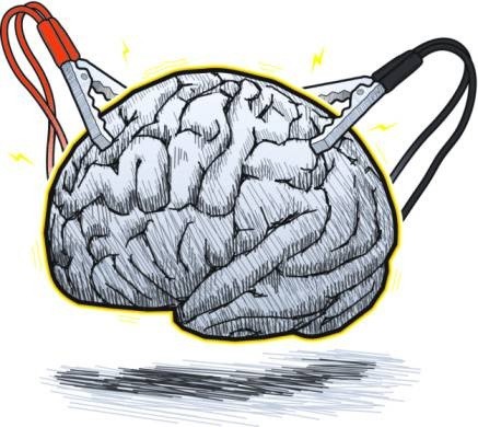 CerebroPincasEletricas.jpg CerebroPincasEletricas.jpg