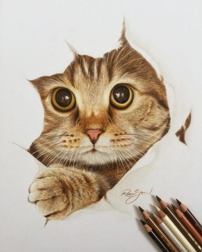 Robin-Gan-dessins-realistes_7.jpg
