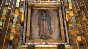 Virgen-Guadalupe-David-Ramos-071218-300x167.jpg Virgen-Guadalupe-David-Ramos-071218-300x167.jpg