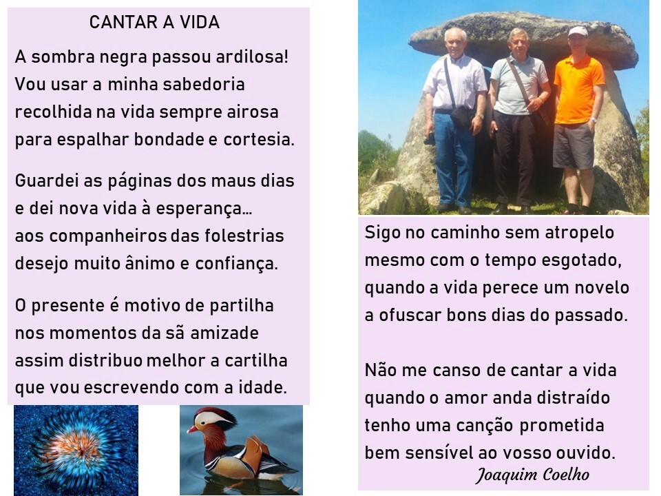 ....Poemas-Cantar a Vida.jpg