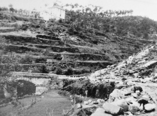 1956.JPG 1956.JPG