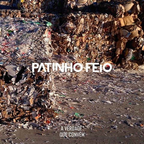 A VERDADE QUE CONVEM COVER.jpg