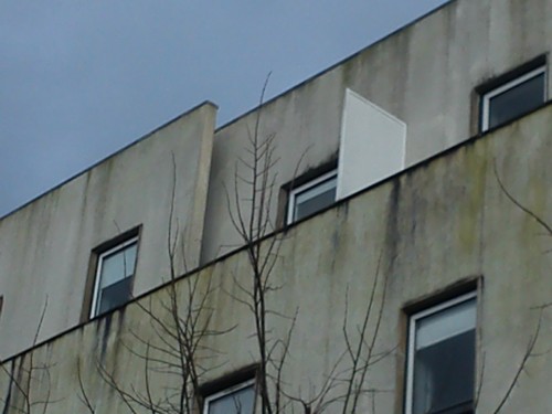 DSC_3017.jpg