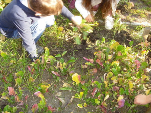 SDC11479.JPG SDC11479.JPG