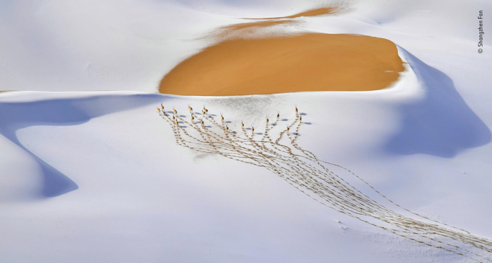 Captura de ecrã 2019-10-17, às 13.42.23.png