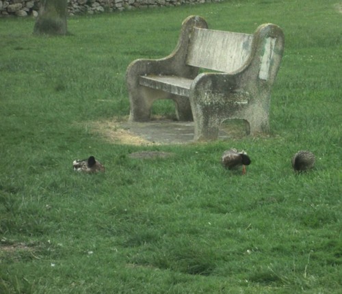 32907952_1652203254894973_1475759009242808320_n.jp