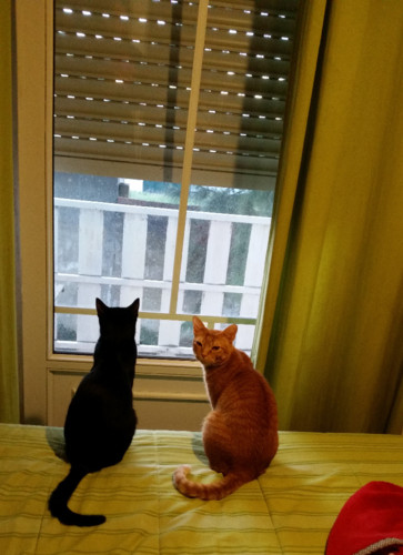 vida-la-fora.jpg vida-la-fora.jpg