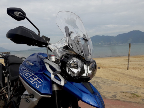 tiger800_4.jpg tiger800_4.jpg
