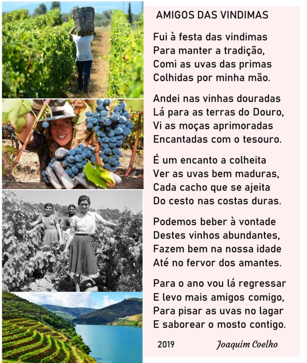 ...Poema-Amigos da Vindimas.jpg