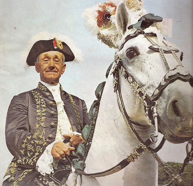 joao branco nuncio.jpg