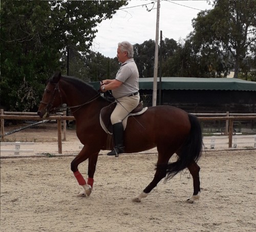 29JUN18 -petit galop 2.jpg
