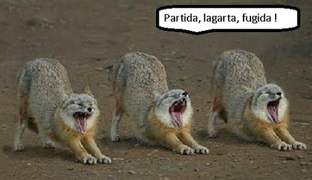 Corrida.jpg