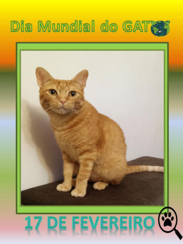 diacatriscas.jpg diacatriscas.jpg