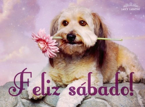Feliz sábado para todos Feliz sábado para todos