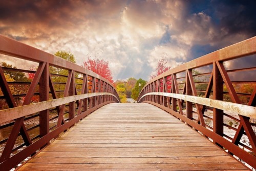 bridge-1385938_960_720.jpg