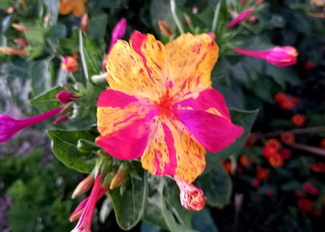 20240806_204936 - Cópia.jpg