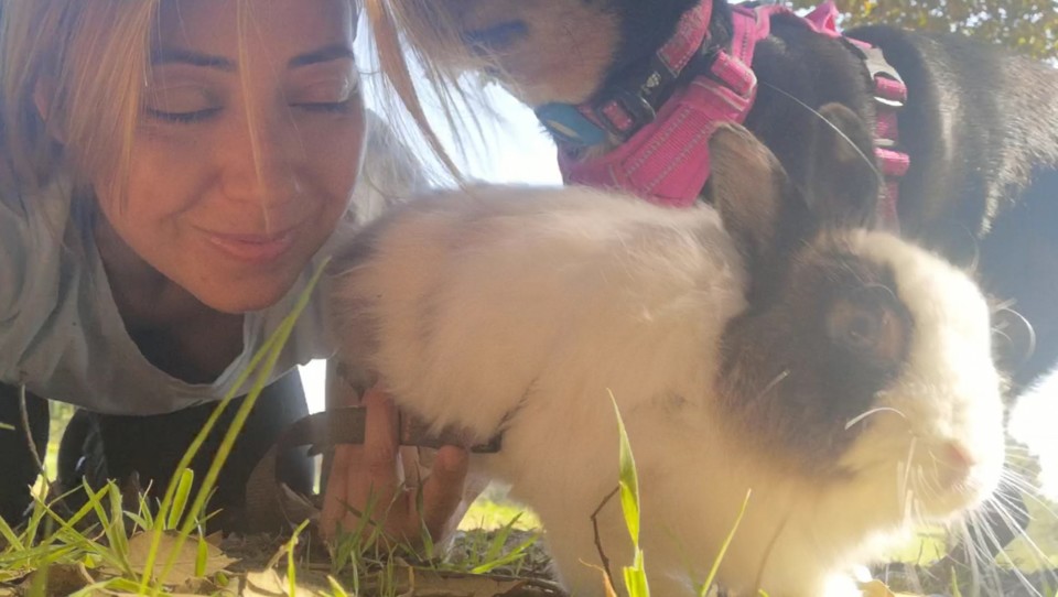 enchem a minha vida_Maggie, Fluffy, Miss Sunflower