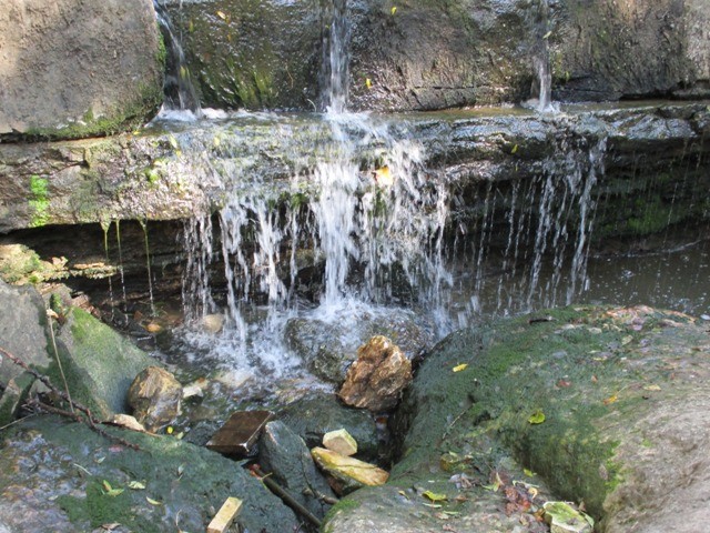 222567582_4098363223612285_7529816279743471931_n.j