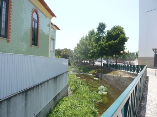 L1000134.jpg