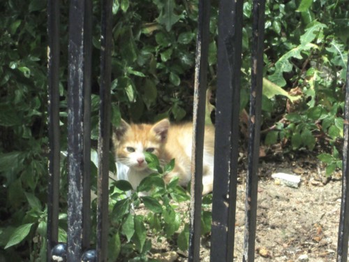 IMG_5933.JPG IMG_5933.JPG