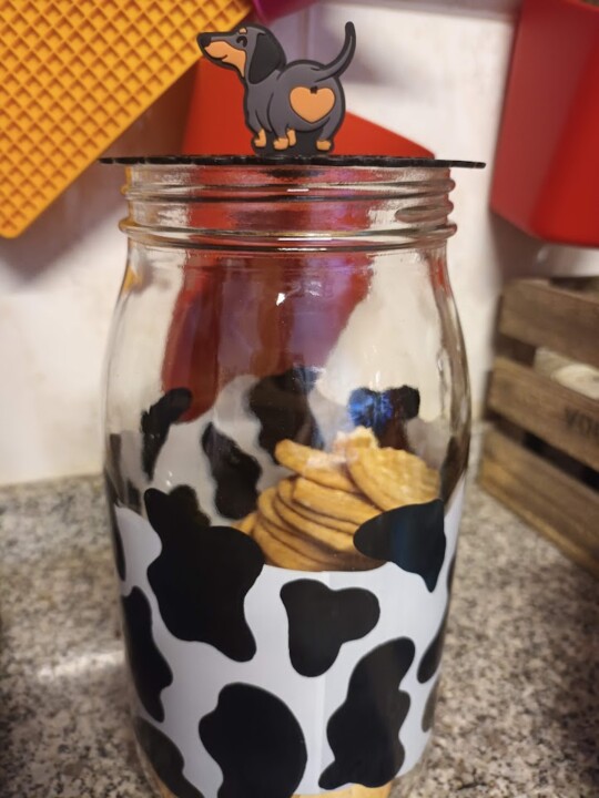 Não me canso disto.jpg