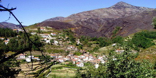 adrao1.jpg
