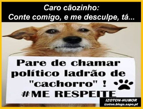 CÃOZINH.jpg CÃOZINH.jpg