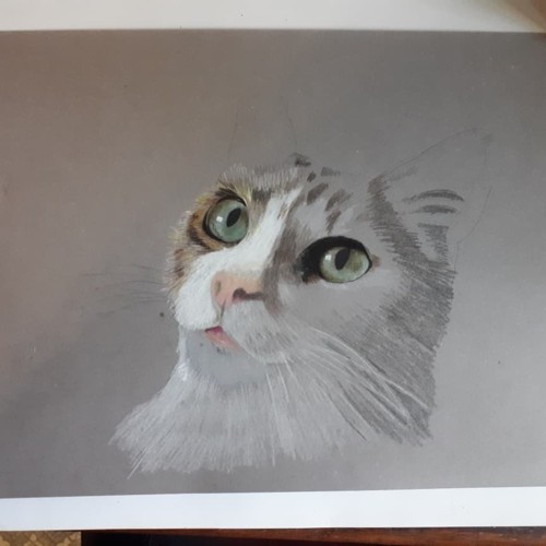 35539440_1509679822477299_4751752087430234112_n.jp 35539440_1509679822477299_4751752087430234112_n.jp