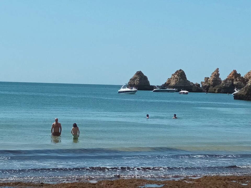 Não me canso disto alemão 1.jpg