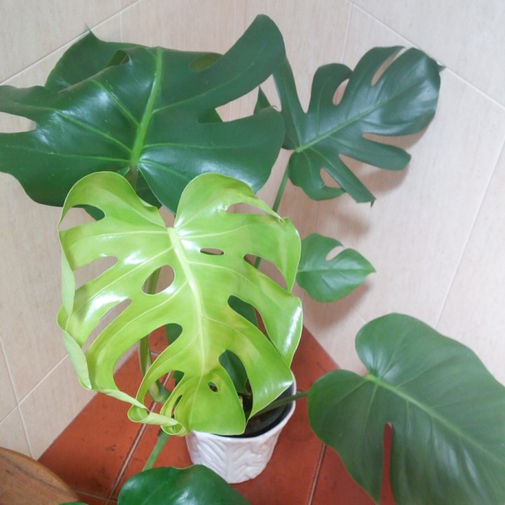 20200726_233411.jpg