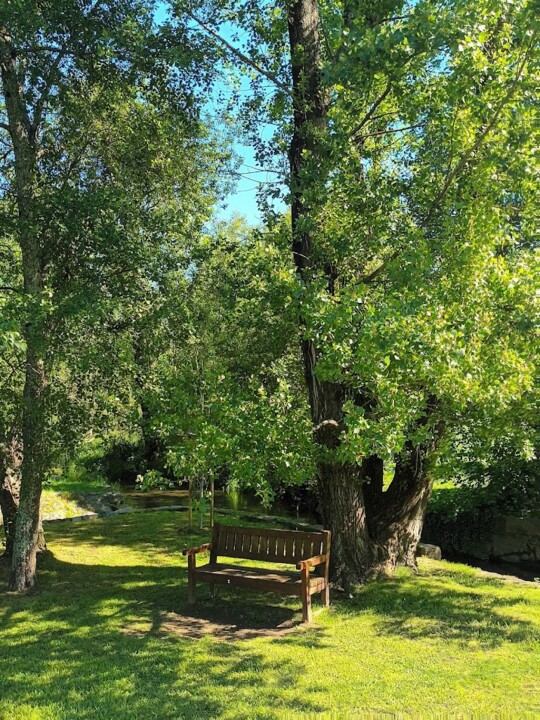 Não me canso disto Famalicão3.jpg