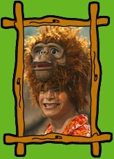 foto_macaco.jpg