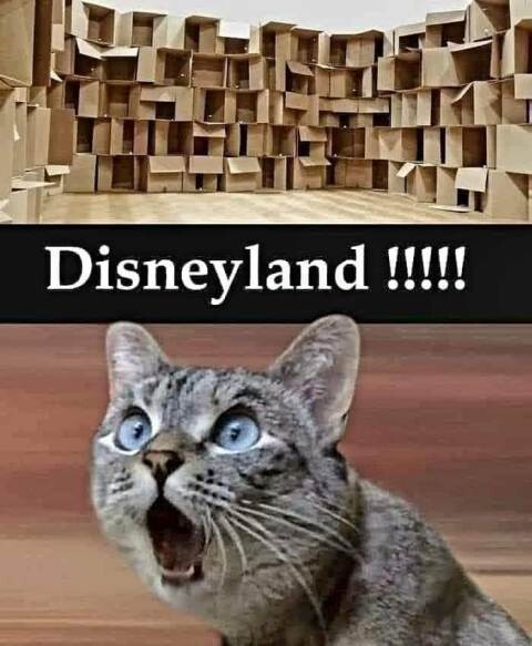 368050427_691476729687366_7545521798464461990_n.jp