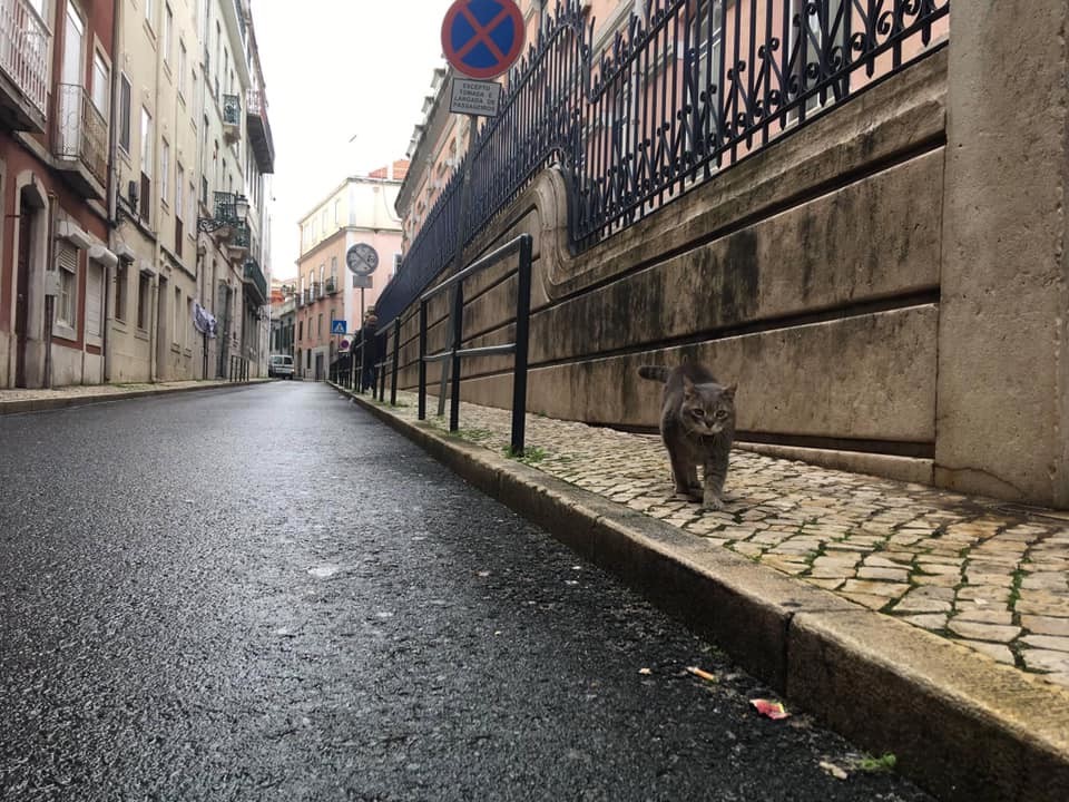 160995847_3971557759570499_8381425663259154694_n.j 160995847_3971557759570499_8381425663259154694_n.j