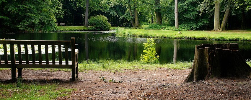 relaxing-environment-1.jpg