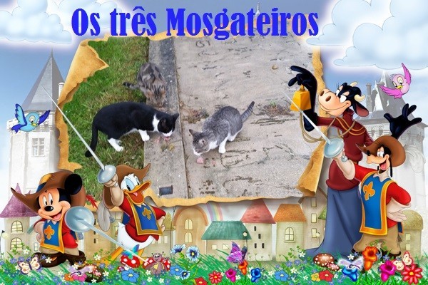 os3mosgateiros.jpg