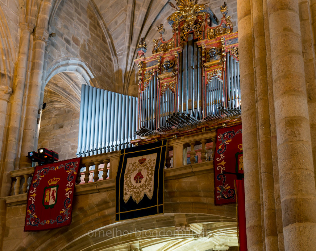 _DSC6370.jpg