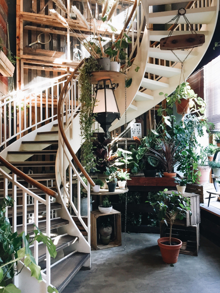 berlim-house-of-small-wonder.jpg